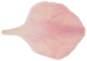 flower petal