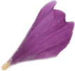 flower petal